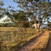 Construir Casa