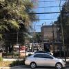 Trabajos Limpieza en Altura