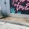Plantar Jardín