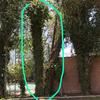 Otros Trabajos Jardinería