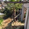 Retiro de Escombros