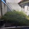 Otros Trabajos Jardinería