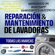 Olegario Munoz Cornelis