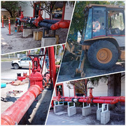 Jimena Selene Muñoz de la Torre