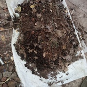 Francisco Partida Garcia