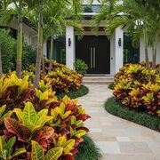 Xoxopan Proyectos Verdes