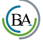 Ba Metalwork