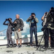 Mario José Dondé Cachón