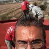 Hugo Alberto Sánchez Morales