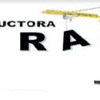 Mauricio